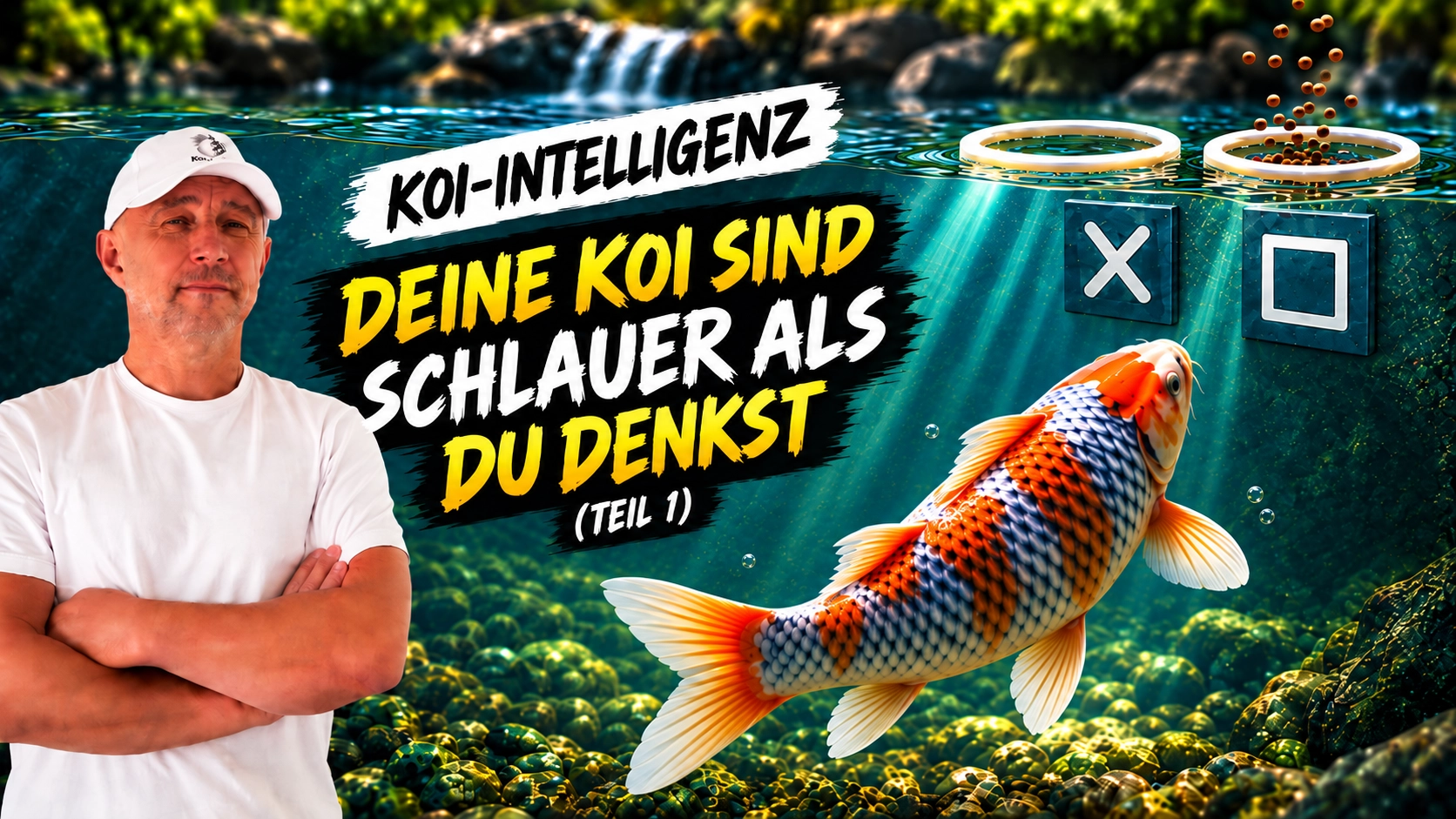 Wie schlau sind Kois wirklich? Die erstaunliche Koi Intelligenz enthüllt